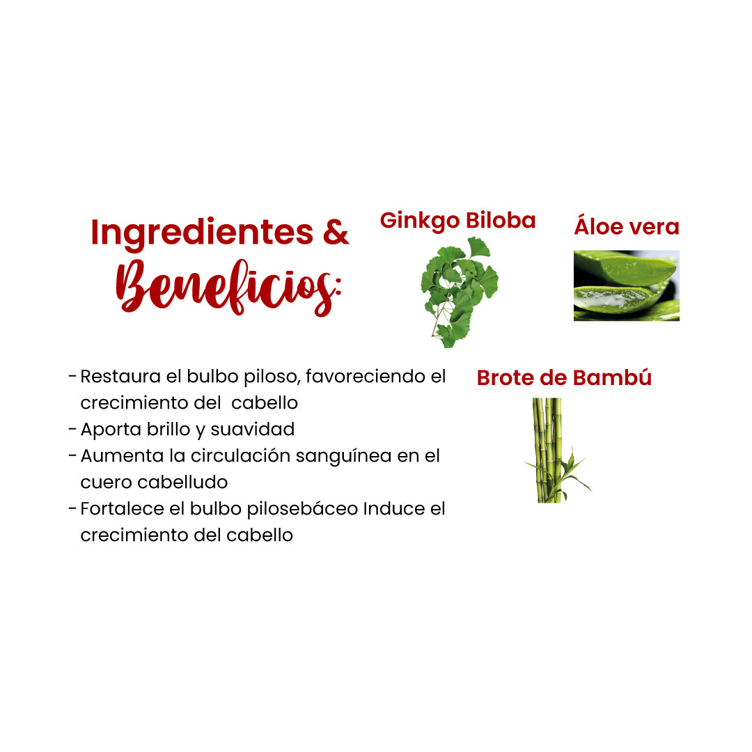 GINKO BILOBA (FORTALECIMIENTO Y CRECIMIENTO) SHAMPOO