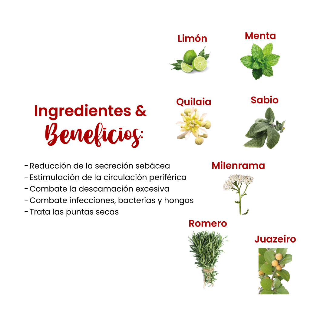 NUTRICIÓN VEGETAL ANTI CASPA ACONDICIONADOR